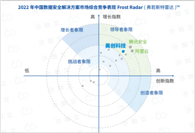 中国数据安全解决方案市场「领导者」
